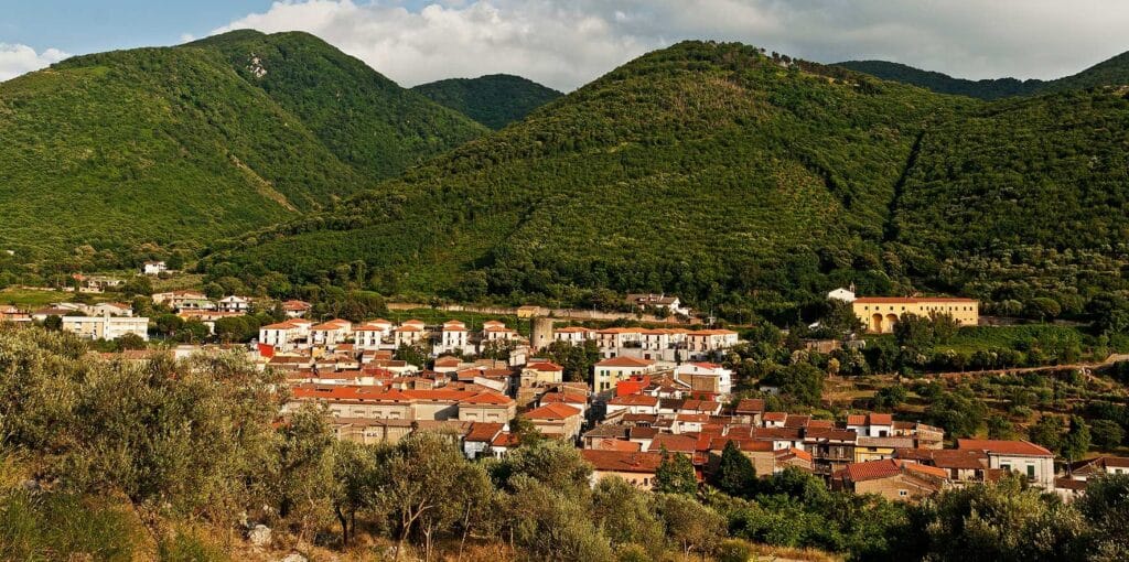 Arpaia Backgroud